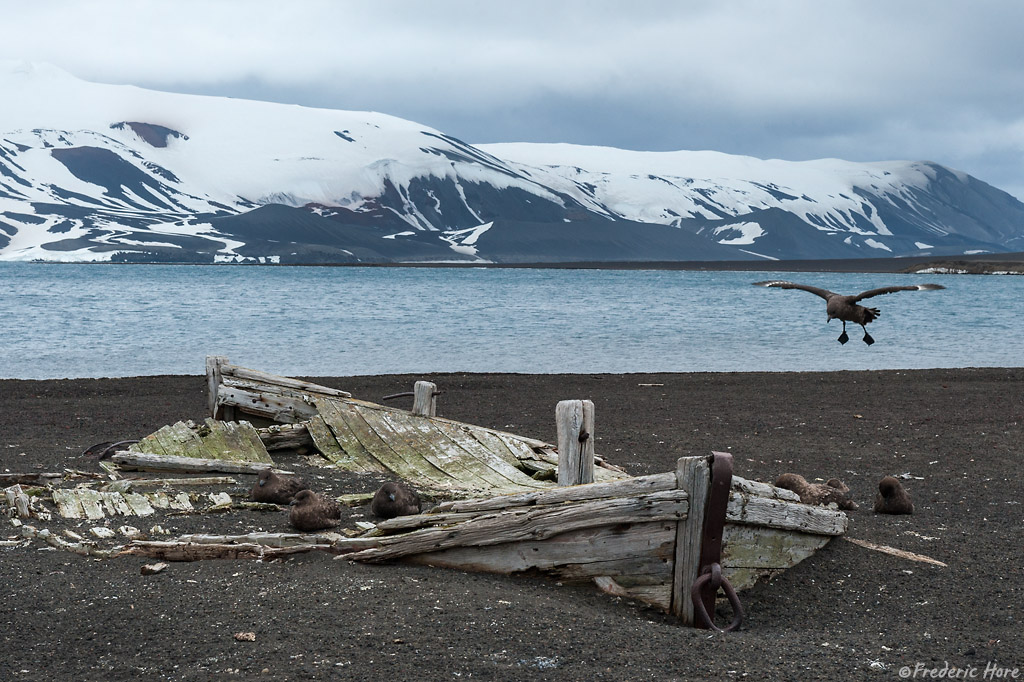   Deception Island, South Shetland Islands